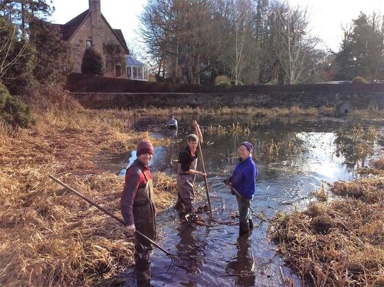Pond clearing in Kirtlington tomorrow!