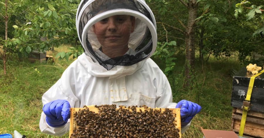 Joss is buzzing with confidence thanks to his bees