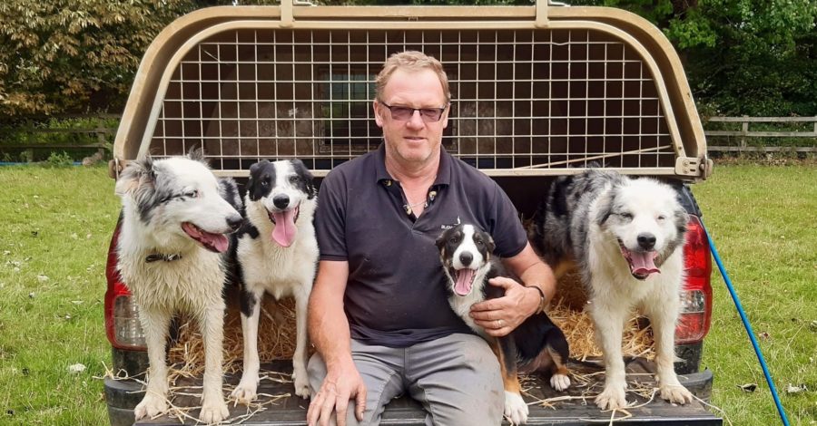 International Dog Day: Blenheim Estate’s New Sheepdog Puppy Ben Honing His Herding Skills on Chickens