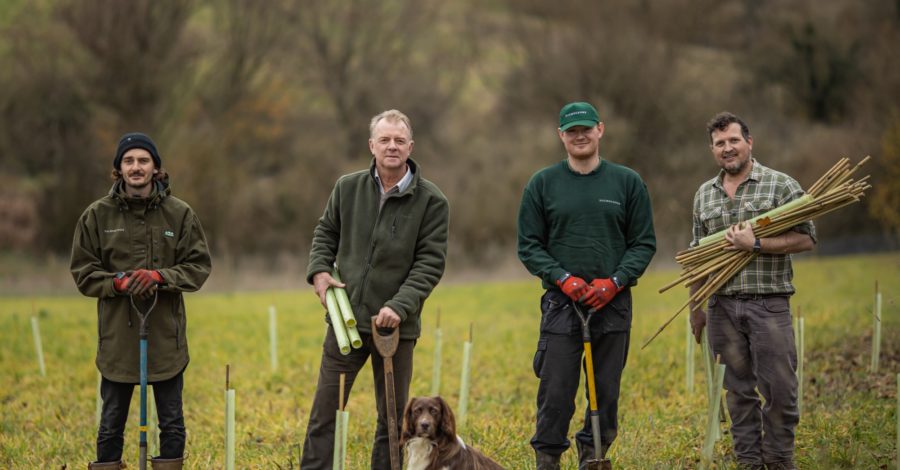 Nine new public access woods created at Blenheim as part of ‘unprecedented’ tree planting project